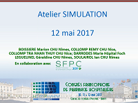 Simulation en pharmacie hospitalière (en collaboration avec la SFPC)