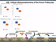 Skeletal Phenotyping of Heterozygotes from IMPC Embryonic Lethal Lines Skeletal Phenotyping of Heterozygotes from IMPC Embryonic Lethal Lines