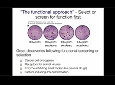 Small RNAs for Cardiac Gene Editing and Regeneration - Mauro Giacca