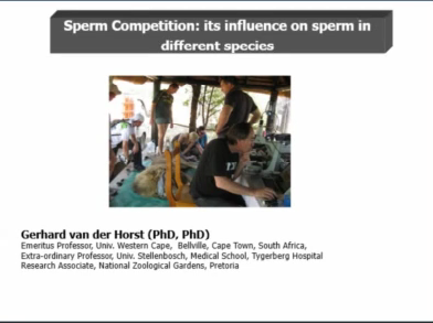 Sperm competition: its influence on sperm in different species