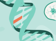 Spinal Muscular Atrophy