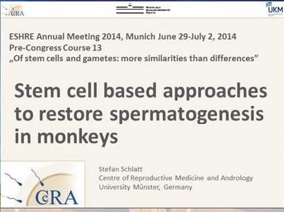 Stem cell based approaches to restore spermatogenesis in monkeys Stem cell based approaches to restore spermatogenesis in monkeys