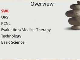 Maladies calculeuses et endo-urologie