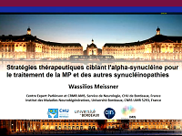 Stratégies thérapeutiques ciblant lalpha-synucléine dans la maladie de Parkinson et les autres synucléinopathies