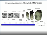 Streamline assessment of early lethal phenotypes in the mouse Streamline assessment of early lethal phenotypes in the mouse