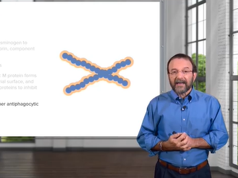 Streptococci _ Microbiology _ Lecturio