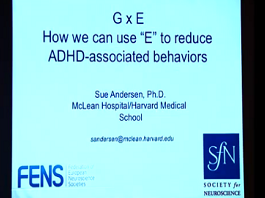 Susan Andersen - Modèles animaux du déficit du trouble de l'attention (ADHD) Susan Andersen - Modèles animaux du déficit du trouble de l'attention (ADHD)