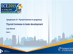 Symposia - L'hormone thyroïdienne à la grossesse : l'hormone thyroïdienne dans le développement du cerveau
