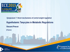Symposia - Nouveaux mécanismes centraux de la régulation centrale pondérale : Les Tanycytes hypothalamiques dans la régulation métabolique