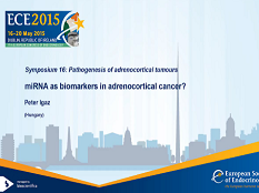 Symposia - Pathogenèse des tumeurs corticosurrénales : Des µ-ARN comme biomarqueurs dans le cancer corticosurrénal?