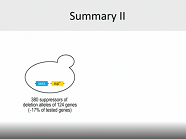 Systematic analysis of genetic interactions: from yeast to human
