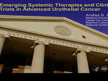 Targeting Molecular Aberrations in Urothelial Carcinoma: Are We Almost There ? (2) Targeting Molecular Aberrations in Urothelial Carcinoma: Are We Almost There ? (2)