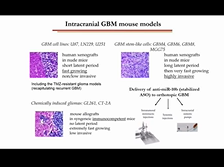 Targeting Onco-microRNA Dependence of Malignant Glioma by Gene Editing - Anna Krichevsky Targeting Onco-microRNA Dependence of Malignant Glioma by Gene Editing - Anna Krichevsky