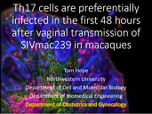 Th17 cells are preferentially infected in the first 48 hours after vaginal transmission of SIVmac239 in macaques Th17 cells are preferentially infected in the first 48 hours after vaginal transmission of SIVmac239 in macaques