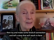 The 2020 Canadian Conference on Global Health: Interview with Jane Goodall The 2020 Canadian Conference on Global Health: Interview with Jane Goodall