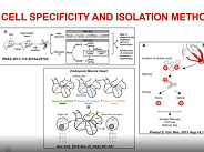 The advantages and limitations of proteomics and metabolomics The advantages and limitations of proteomics and metabolomics