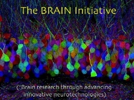 L'effort cérébral L'effort cérébral