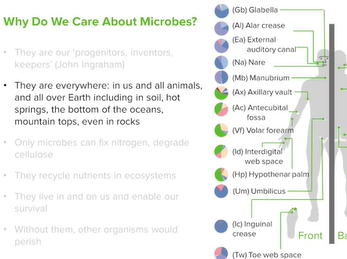 The Concept of Microorganisms: Historical Findings _ Microbiology _ Lecturio