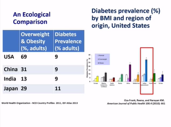 The Determinants Dynamics and Dimensions of Cardiovascular Disease in Indians South Asians The Determinants Dynamics and Dimensions of Cardiovascular Disease in Indians South Asians