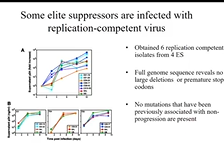 The "elite controllers" who can naturally suppress HIV