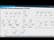 The First FDA Approved RNAi Therapeutic ONPATTRO and Beyond The First FDA Approved RNAi Therapeutic ONPATTRO and Beyond