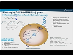 The First FDA Approved RNAi Therapeutic ONPATTRO and Beyond