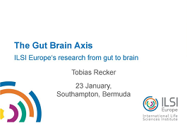 The Gut Brain Axiz: ILSI Europe Research from Gut to Brain