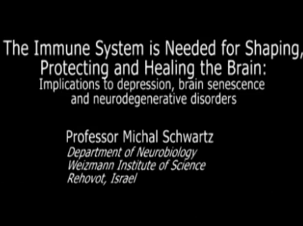 The immune system and the brain The immune system and the brain