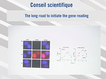 The long road to initiate the gene reading - Pr. Jean-Marc Egly The long road to initiate the gene reading - Pr. Jean-Marc Egly