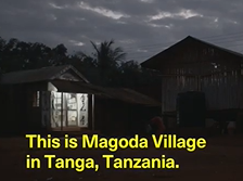 The Malaria Houses Project Series (4)