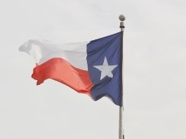 Institut de la politique de santé mentale du Texas