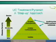 The medical approach to ulcerative colitis The medical approach to ulcerative colitis