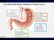 The National Cancer Institute: Leading Cancer Research in 2021 and Beyond - Norman "Ned" Sharpless