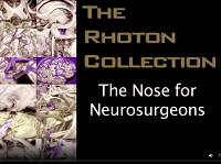 The Nose for Neurosurgeons (3D) The Nose for Neurosurgeons (3D)