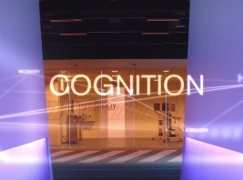 Rôle de la cognition dans la performance humaine