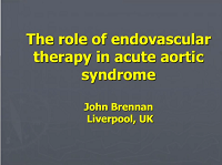 The role of endovascular therapy in acute aortic syndrome