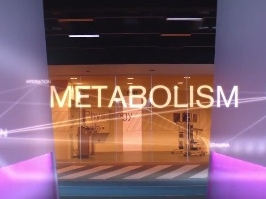 Role de la protéine dans la croissance et le développement musculaire