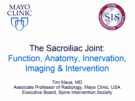 The Sacroiliac Joint