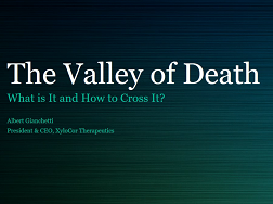 The Valley of Death: What Is It and How to Cross It