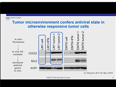 Theranostics-Guided Oncolytic Virotherapy