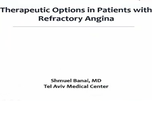 Therapeutic Options in Patients with Refractory Angina