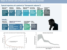 Thinking Rationally about the Treatment of Bipolar Disorder
