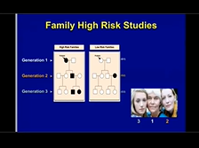 Thirty Years of Studying Families at Risk for Depression: What Have We Learned? Thirty Years of Studying Families at Risk for Depression: What Have We Learned?