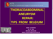 Thoraco-Abdominal Aneurysm repair - tips from Belgium