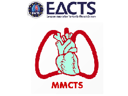 Thoracoabdominal aortic replacement