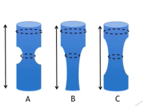 Three-Dimensional Photography as a Tool for Characterization of Penile Deformity Three-Dimensional Photography as a Tool for Characterization of Penile Deformity