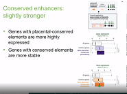 Tissue-specific enhancer and promoter evolution in mammals