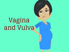 Topic 13: Postpartum Care