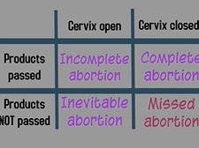 Topic 16: Spontaneous Abortion