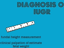 Topic 31: Fetal Growth Abnormalities